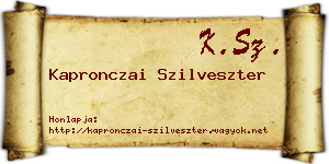Kapronczai Szilveszter névjegykártya